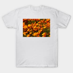 California Wild Golden Poppies T-Shirt